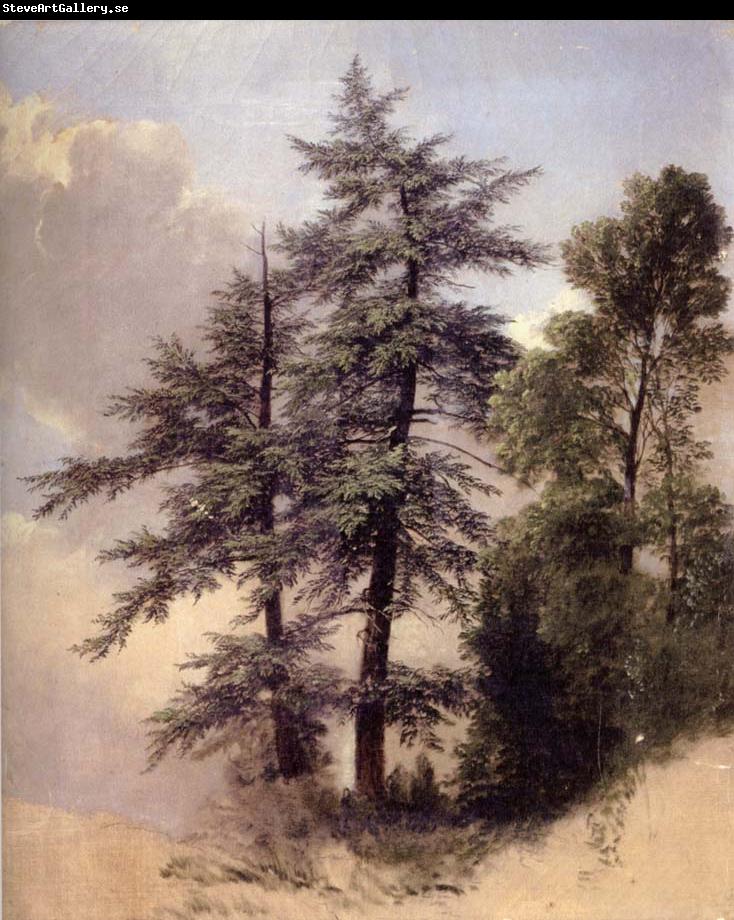 Asher Brown Durand Study from Nature Trees,Newburgh,